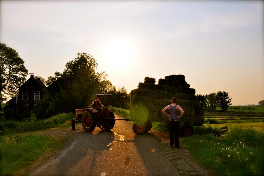 Foto voor in portfolio